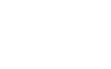 BSI white logo